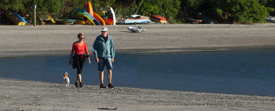 Pet-Friendly accommodation