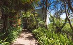 Waiheke Palm Beach Lodge: Pathway to Totara