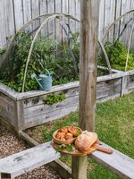 Waiheke Island Time: 229381