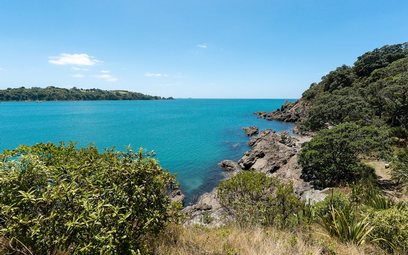 Waiheke Relax on Newton: Bottom of Newton