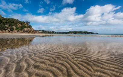 Waiheke Inside Out House: Little O