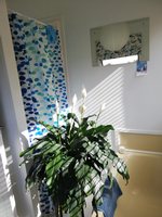 Waiheke Goodwin Getaway: Shower