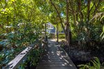 Waiheke Little Ocean Hideaway: Path to property