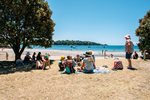 Waiheke Little Ocean Hideaway: Summer living
