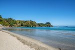Waiheke Bay Breeze Retreat: Palm Beach morning stroll