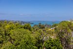 Waiheke L'Appartement Bleu: View from the deck