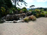 Waiheke Island Dream Cottage: Patio
